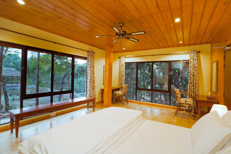 Tree Top Suite